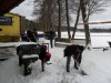 sam_1233