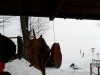 sam_1459